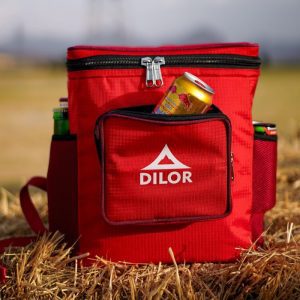 کول باکس دیلور مدل CHILL PACK