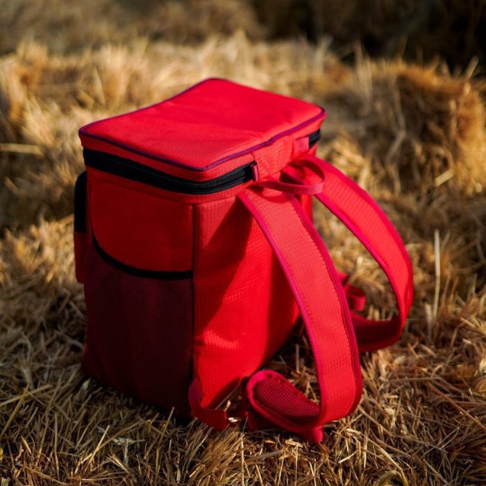 کول باکس دیلور مدل CHILL PACK - Image 8