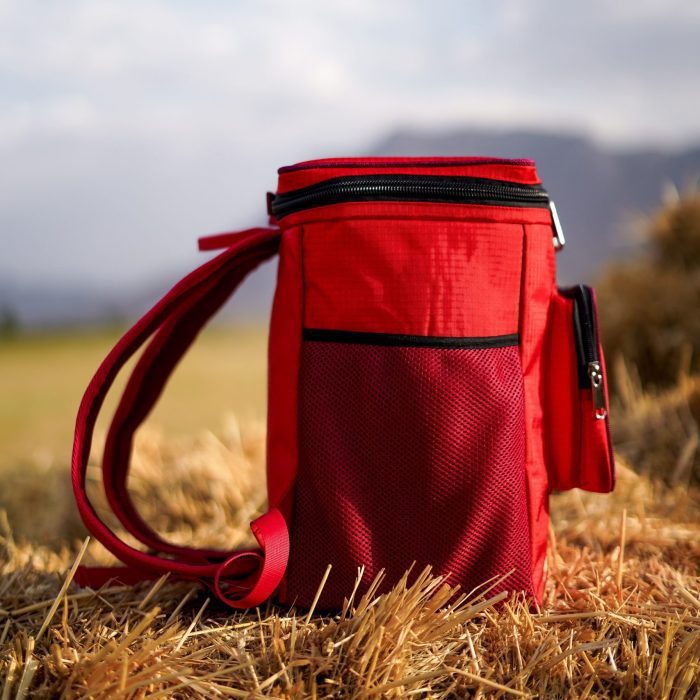 کول باکس دیلور مدل CHILL PACK - Image 7
