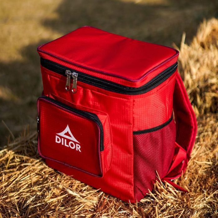 کول باکس دیلور مدل CHILL PACK - Image 6