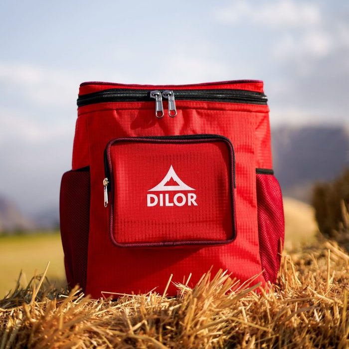 کول باکس دیلور مدل CHILL PACK - Image 5